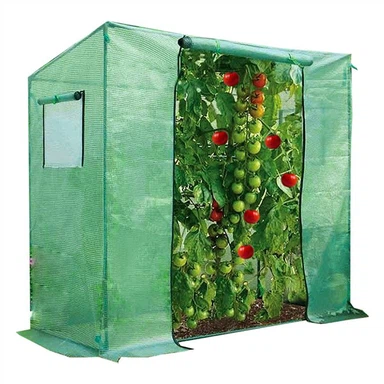 Mini Tomato Greenhouse i inne